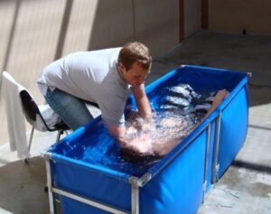 Collapsible Portable Baptistry